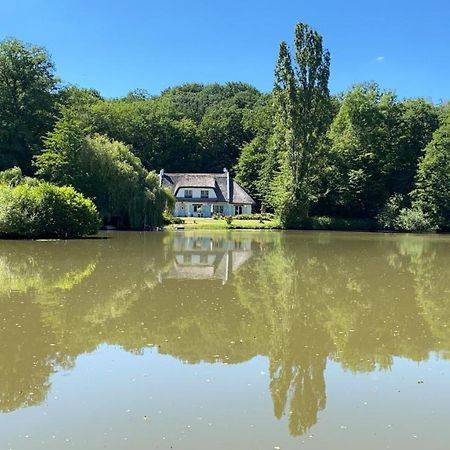"La Homerie" Chaumiere En Pleine Nature Savigny-en-Sancerre Kültér fotó